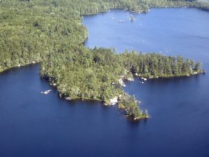 flying pictures 014