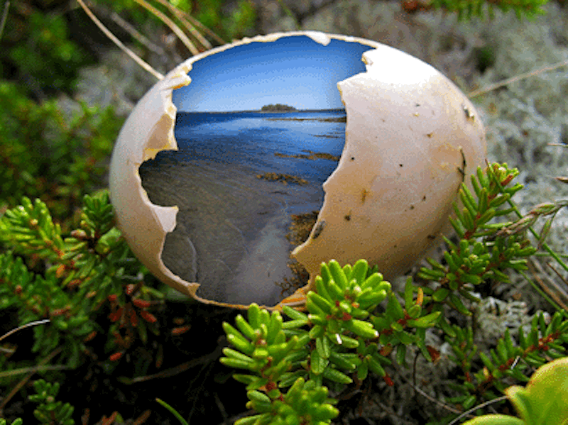 cracked egg with ocean and islands and sky inside