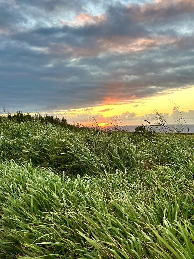 Sunset on the Big Island