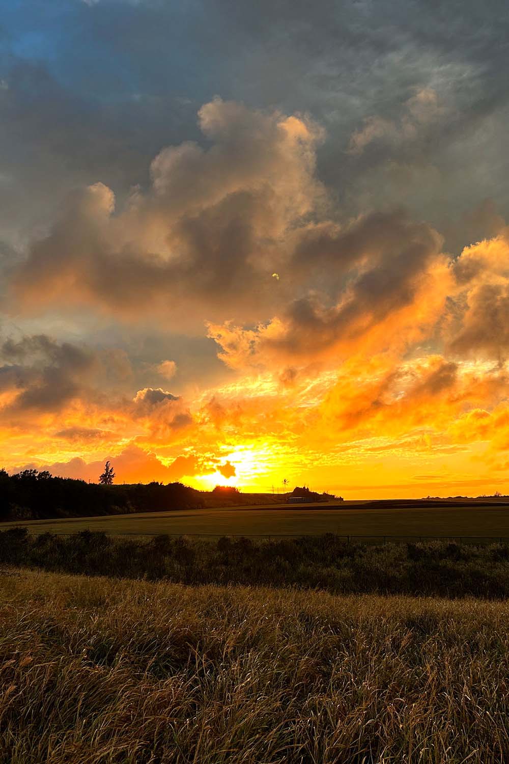 Kohala Sunset