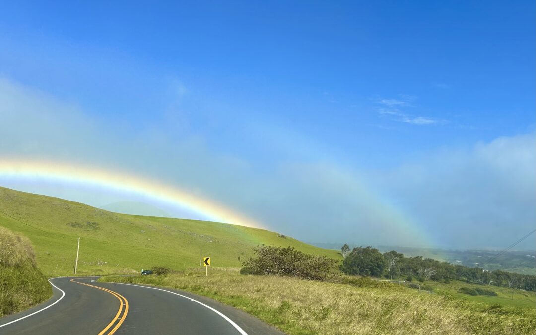 Rainbows and Robots
